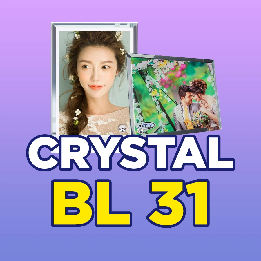 BL 31